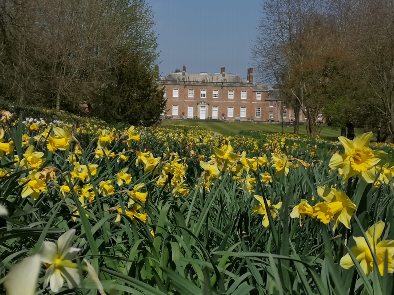  - ABDO College Sandbox