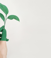 ABDO College achieves Carbon Neutrality for the second year running